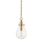Hudson Valley Ivy Aged Brass Small Ceiling Pendant