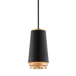 Troy Lighting Fahrenheit Textured Black With Gold Leaf - Decolight Ltd 